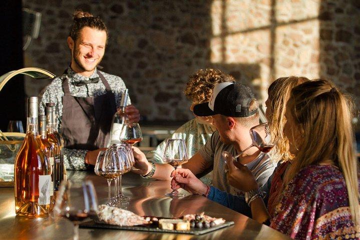 Provence Wine Tour - Private Day Tour from Nice