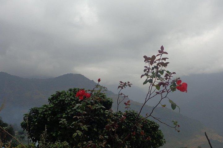 3 Nächte 4 Tage Poon Hill Trek