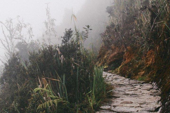Jungle Trail til Machu Picchu (mountainbiking, rafting, ziplining) - 3 dages tur