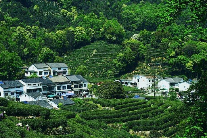 All-inclusive Customized Hangzhou Layover Tour