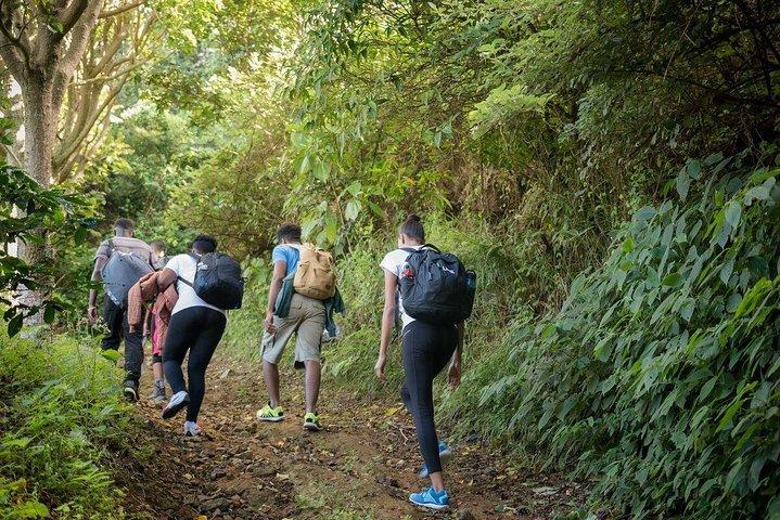 5 dage, 4 nætter Backpacking Kingston Jamaica
