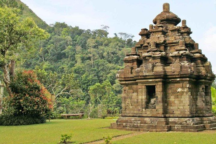 Yogyakarta : Les rizières en terrasses de Selogriyo hors des sentiers battus