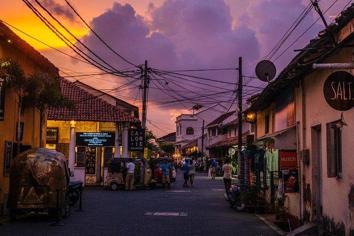Endagsudflugt til det sydlige Sri Lanka