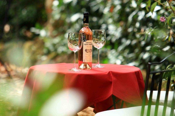 Gita giornaliera privata: tour di degustazione di vini con pranzo Pinic da Nizza