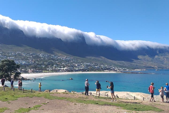 Table Mountain, Penguins, Cape of good hope and Stellenbosch tour