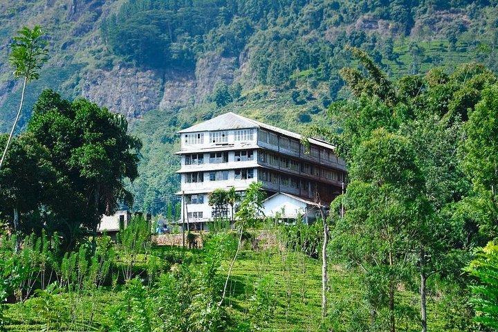 Percorsi Nuwera Eliya Tuk-Tuk