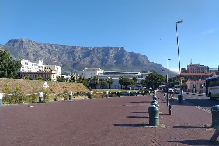 Table Mountain, Penguins, Cape of good hope and Stellenbosch tour