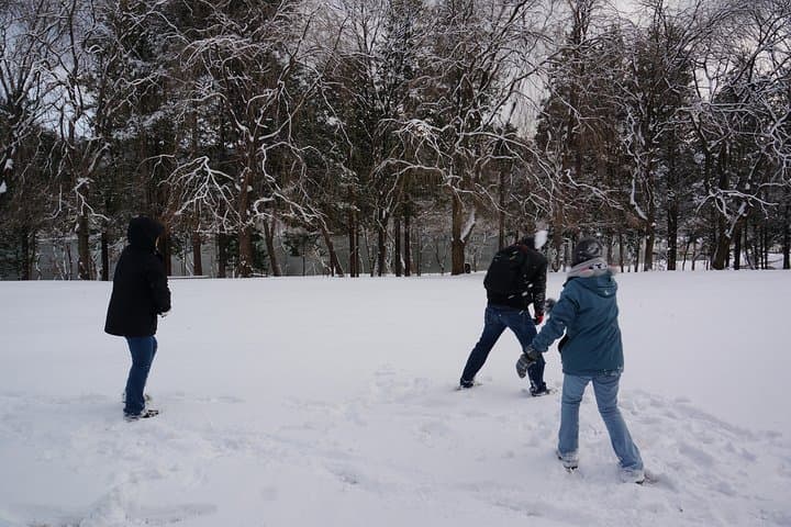 Private Tour Nami Island with Petite France 'and/or' The Garden of Morning Calm