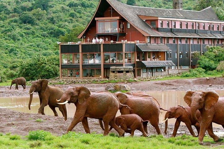 7-Days Wildlife Private Safari Aberdares, Mount Kenya, Lake Nakuru & Masai Mara