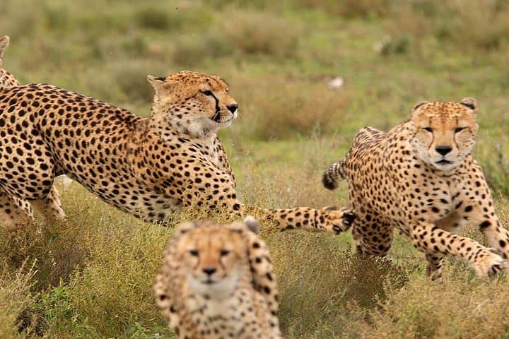 8 Days Kenya Photographic Safari