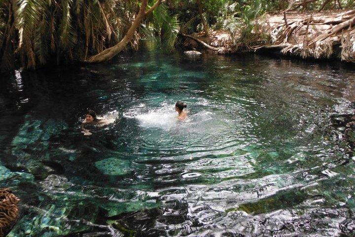 Kikuletwa Hotspring Day Trip