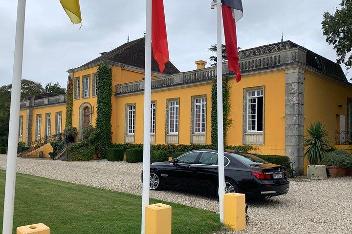 Tour privado e visitas à Rota do Castelo de Medoc (Minivan de Luxo)