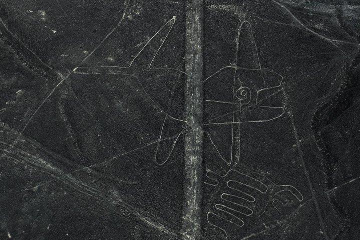 Nazca Lines Scenic Flight – Onvergetelijke dagtour, vanuit Lima