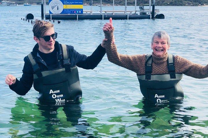 Coffin Bay Oyster Farm Wading Tour e experiência de degustação