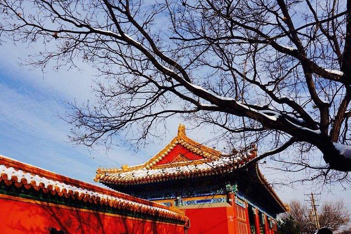 Visite privée de la cité interdite et de la Grande Muraille de Mutianyu
