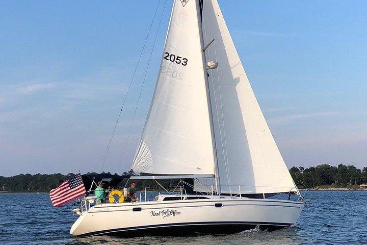 2 heures d'observation et de navigation privées des dauphins à Hilton Head