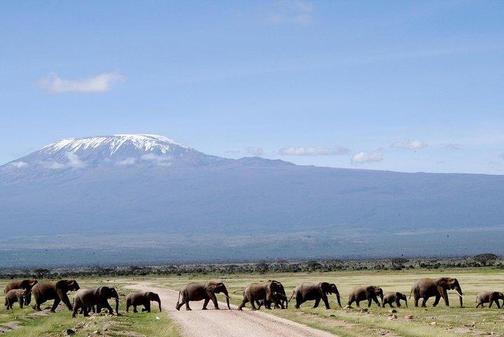 6 dagars Amboseli Tsavo West & Taita Hills Safari
