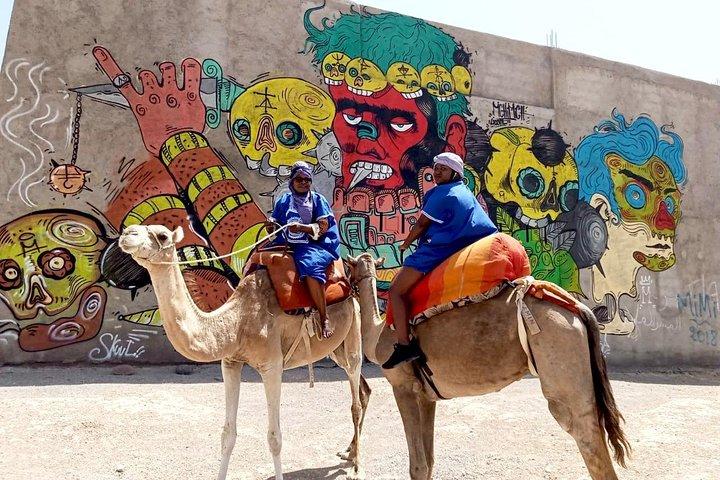 Agafay Desert Camel & Quad Bike Adventure