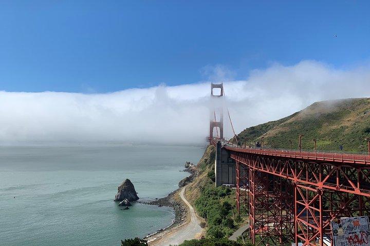 Private Tour Muir Woods und Sausalito