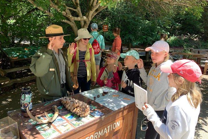 Private Tour Muir Woods und Sausalito