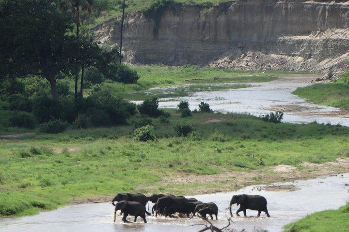 2 Days Safari to Tarangire NP & Ngorongoro Crater from Arusha