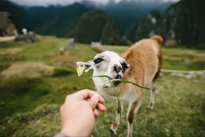 2-Day Short Inca Trail to Machu Picchu