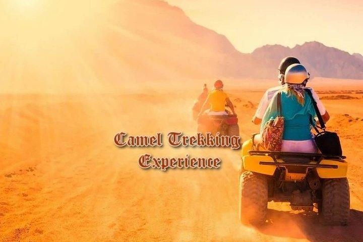Tour nel deserto del Marocco di 9 giorni da Marrakech Merzouga Desert Fes