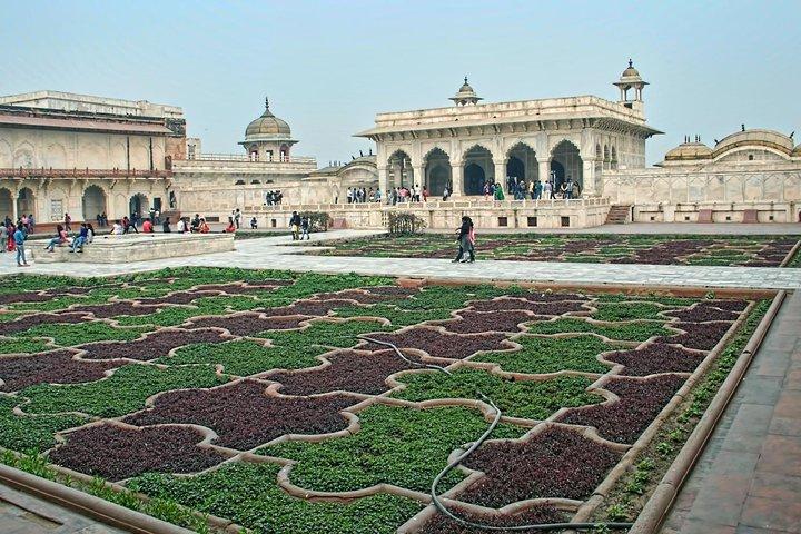 Visita guiada privada al Taj Mahal desde Delhi con entradas + comida