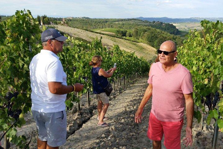 Pecorino Cheese Factory & Chianti Wine Tour in Toscane - De perfecte combinatie