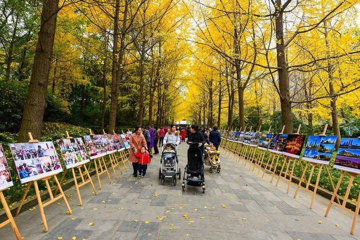 Private Chengdu Impression Day Tour including Panda Base