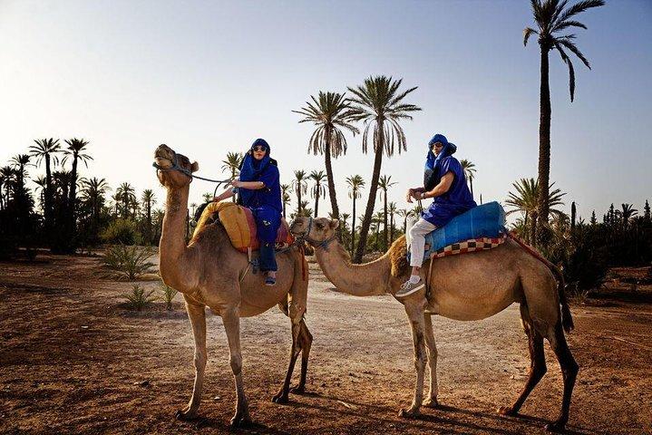 Agafay Desert Quad Biking from Marrakech through Takerkoust Lake