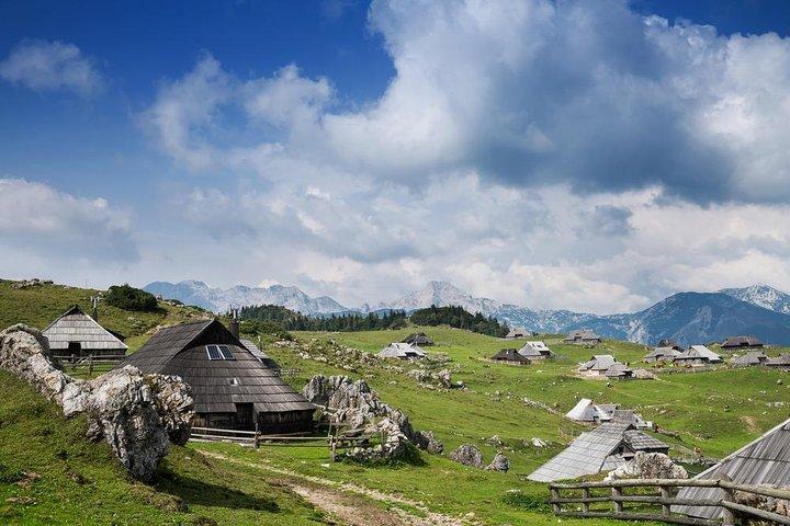 リュブリャナからのVelika Planinaプライベートハイキング旅行