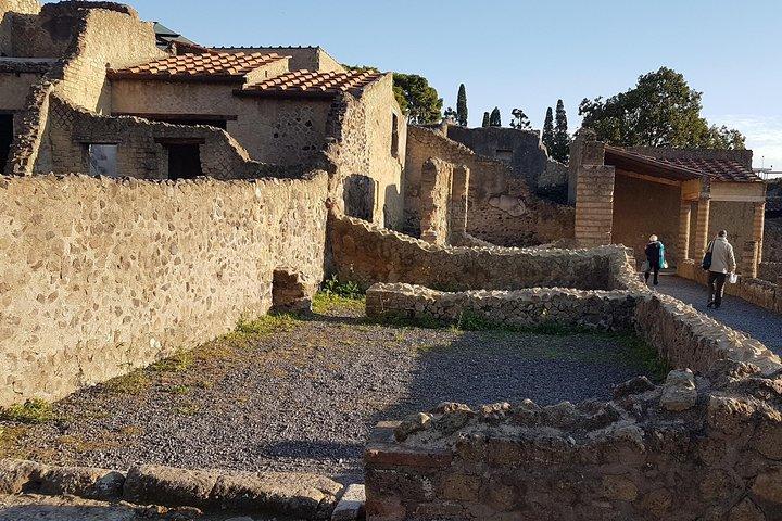 Herculaneum Ruins: Day trip from Naples with Skip the Line