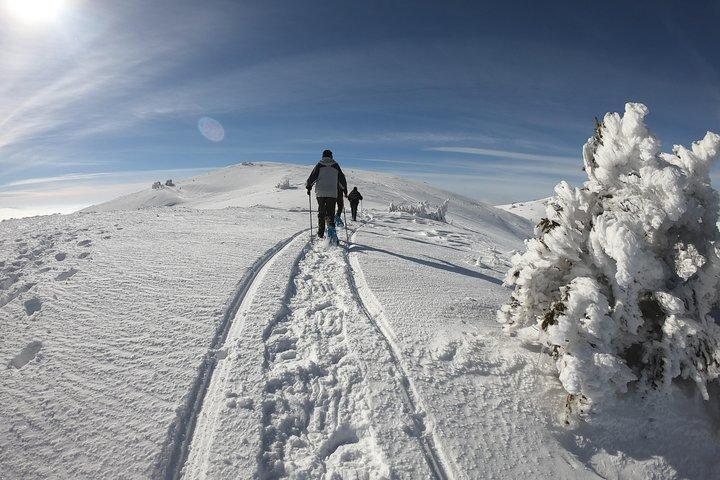 Snowshoeing at Olympic Mountains – Full Day Tour from Sarajevo