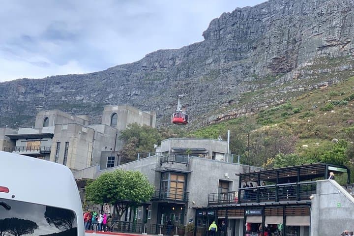 Experience views of Cape Town with Robben Island &Table Mountain full day tour