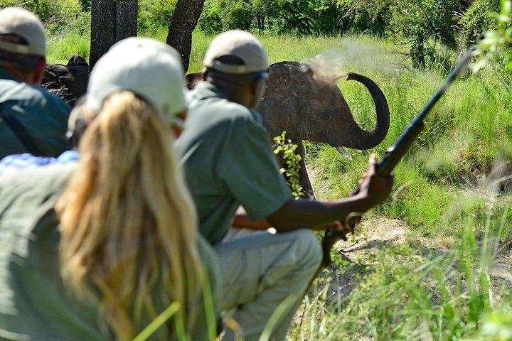 4 giorni 3 notti Victoria Falls Camping Adventure