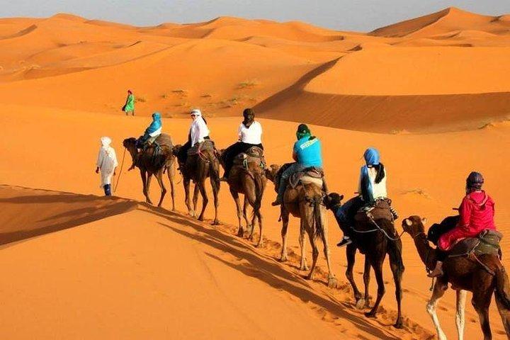 Tour delle città imperiali e del Sahara di 7 giorni da Tangeri