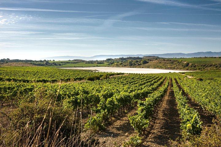 Tour dei vini La Rioja e Laguardia da Vitoria