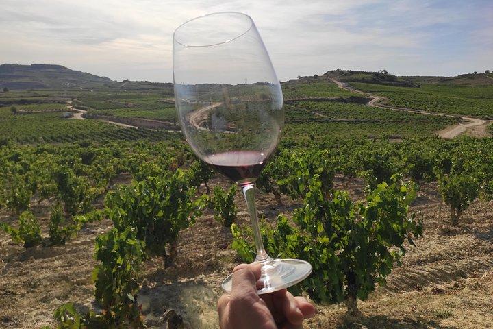 Tour dei vini La Rioja e Laguardia da Vitoria