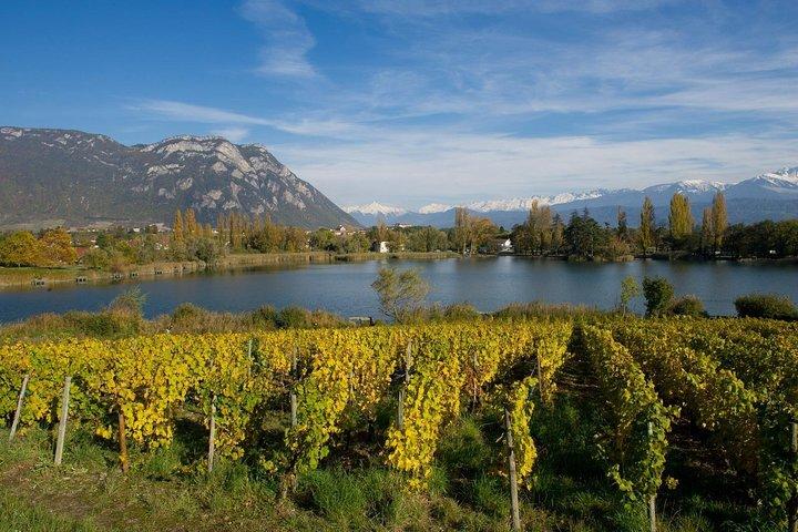 Savoie vineyards: tours and tastings from Annecy