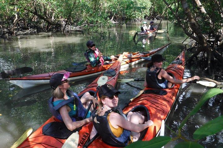 Tour di mangrovie, spiagge e isole in kayak