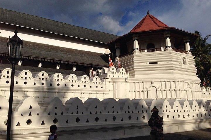 Kandy Day Tour saindo de Colombo com veículo particular e motorista
