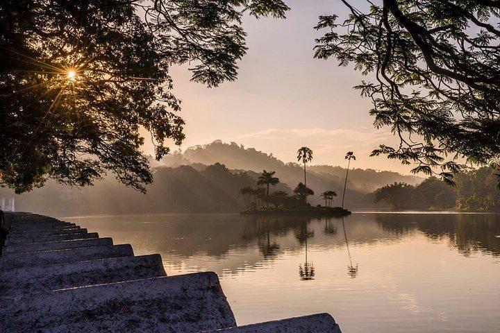 Kandy Day Tour saindo de Colombo com veículo particular e motorista