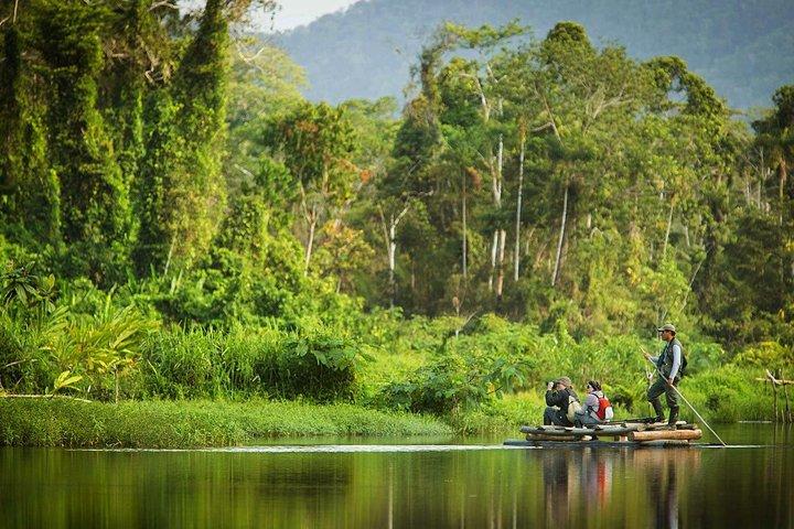 Manu Jungle Tour (4 Days)