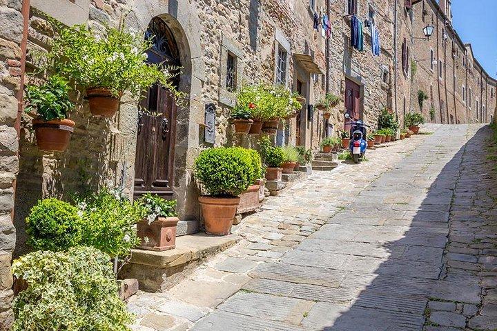 Viaggio in auto privata per Arezzo e Cortona da Firenze (10 h)