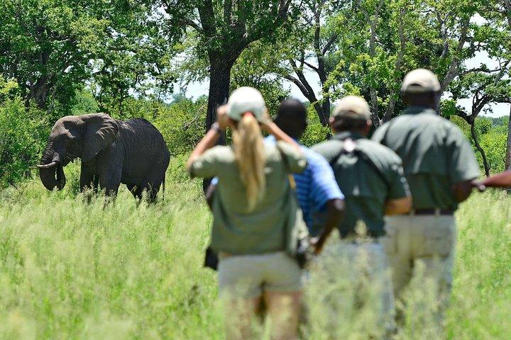4 giorni 3 notti Victoria Falls Camping Adventure