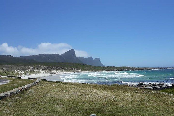 Cape Point, Boulder's Beach in auto privata, tariffe d'ingresso incluse