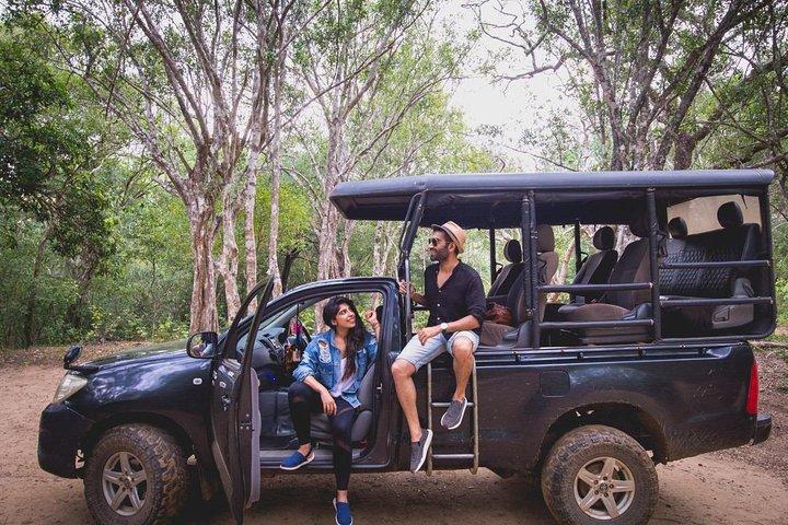 Half Day Safari at Yala National Park with Lunch