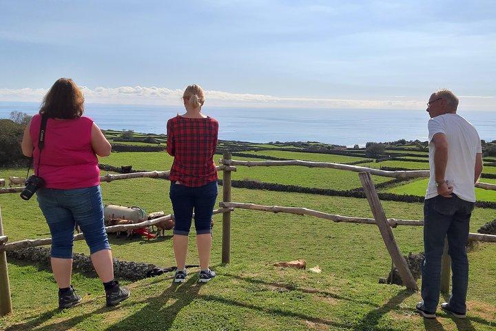 Tour de l'île en van (journée complète) | Île de Terceira