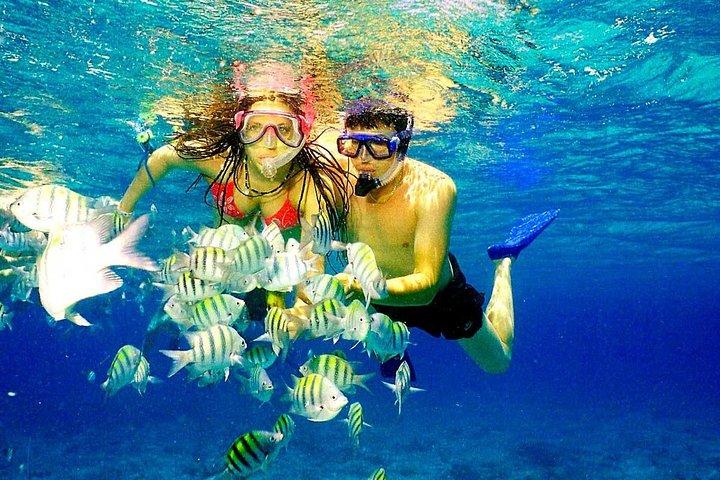 Leuk pakket Parasailing & Party Boat vanuit Punta Cana